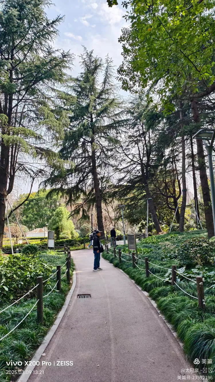 散步寻觅新线路:五原路→→华山绿地4000步x2